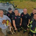 Spasili psa sigurne smrti iz duboke provalije: Vatrogasci iz Bijelog Polja reagovali kao pravi heroji