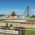 Kreni-Promeni tvrdi: Masovni odstrel golubova na Beogradskom hipodromu