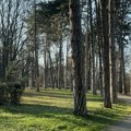 Parkovima imena Milice Rakić i Sonje Savić: Dva gradska parka u Čačku, uz saglasnost ministarstva, dobiće nove nazive