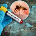 Smrtonosni virus se širi Evropom! Stručnjaci izdali važno upozorenje! Većina zaraženih nema simptome, a posledice mogu…