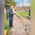 Zmije jedva dočekale vrelinu asfalta