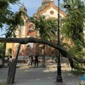 Odlomilo se drvo kod Sinagoge, veći deo preprečio uicu