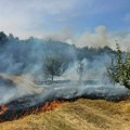 Požar u Slavujevcu zahvatio šumu i voćnjake, vatrogasci i meštani gase vatru