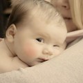 U Novom Sadu za jedan dan rođeno 29 beba, među njima i dva para bliznakinja