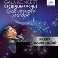 Trinaestogodišnji David Božić solista na gala koncertu Dečje filharmonije