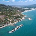 Užas u Varni: U poslednjih 10 dana more izbacilo 6 uginulih delfina na plaže