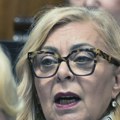 Ministarka: Nekoliko brodova se nasukalo zbog niskog vodostaja Dunava