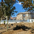 Posađena nova stabla na Trgu Radomira Putnika, evo kada će biti otvoren (FOTO)
