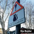 Reč kritike Oja Bajdar: „Pisma turskih mačaka“