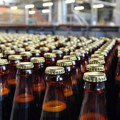 Međunarodni dan piva: Globalna proizvodnja u blagom padu