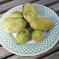 U lišću ovoga voća nalazi materija koja je najzdravija na svetu, raste i u Hrvatskoj, a kilogram plodova košta oko 10 evra