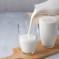 Ovo je najbolji mlečni proizvod za redovnu probavu: Ima niz benefita