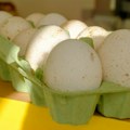 Zašto nikada ne viđamo ćureća jaja u supermarketima? Razlog je prost, ali iznenađujuć