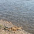 RHMZ izdao upozorenje: Sava u porastu, očekuje se prevazilaženje kritične granice kod Šapca