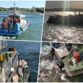 Drama na Dunavu: Nasukao se kruzer sa 238 ljudi, situacija na brodu postaje kritična! (video)