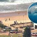 Dronovi snimili 20 velikih belih ajkula u plićaku: plivaju uz ljude i biće ih sve više na poznatim plažama