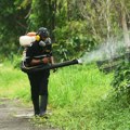 JKP "Gradska čistoća" i danas suzbija komarace sa zemlje: Ovo su planirane lokacije