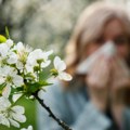 Hrana koju bi trebalo da izbegavate ukoliko imate alergiju na polen