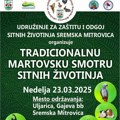 Tradicionalna martovska smotra sitnih životinja u Sremskoj Mitrovici