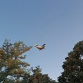 Novi Sad: Ciklonizacija tretirala komarce iz vazduha (AUDIO)