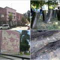 VAŠA PISMA: Protest protiv zlostavljanja životinja, put ka Kavaku, Partizansko groblje, Kozaračka...
