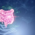 Inflamatorne bolesti creva nisu prolazna tegoba ili "samo" problem sa stomakom: Simptom koje ne treba trpeti