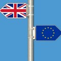 Polovina Britanaca želi ponovo da se priključi EU