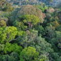 Srušio se avion u Brazilu: Poginulo 12 osoba