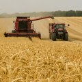 Koja je najisplativija kultura u poljoprivredi?