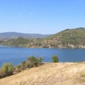 (FOTO) Na jezeru Bovan viđena nova vrsta ptice u Srbiji – veliki morski gnjurac