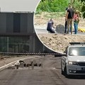 Doručkovali i šalili se, pa otišli u smrt Detalji užasa na Novom Beogradu: Jednom pozlilo u šahtu, drugi hteo da pomogne i…