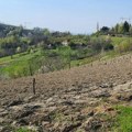 Na Markovdan se ne radi u njivi! Ovo su i ostala verovanja za današnji praznik
