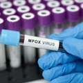 Majmunske boginje prvi put potvrđene u Severnoj Makedoniji