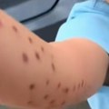 Neviđena drama u akvarijumu Divlja zver zgrabila dete za ruku, majka vrištala od užasa – osoblje samo posmatralo! (video)