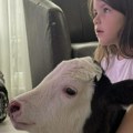 Љубимцу деце, теленцету Флекици, није било добро па је морало код доктора: Тамара Гаровић забринула пратиоце