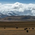 Eksploatacija litijuma na Tibetu ugrožava životnu sredinu, Tibetanci bez prava glasa