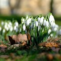 Narednih dana pretežno sunčano i toplije vreme