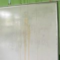 Jezivo ponašanje osmaka Gađali nastavnicu u OŠ "20 oktobar" u Vrbasu! (foto)