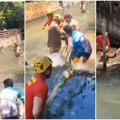 Ogromna anakonda izazvala pometnju na kupalištu u Brazilu: Trojica vatrogasaca učestvovala u uklanjanju (VIDEO)