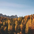 Suša u SAD poremetila i uživanje u jesenjem šarenilu lišća, otpada ranije, manje šareno