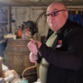 Ne pamte zmiju u oktobru: Meštani Šumadije u čudu i strahu, još je i otrovnica! Zmijolovac otkriva zašto se pojavila baš sada…