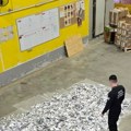 Carinici krenuli u pretres magacina kurirske službe u Beogradu, a onda ostali u šoku! Pronađeno preko milion tableta…