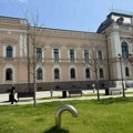 Osušilo se sedam sadnica crvenog javora na Trgu Radomira Putnika, grad „utvrđuje uzroke“