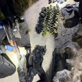 Specijalci u stanu u Nišu pronašli bombe, pušku i raketne bacače: Hitno uhapšen muškarac (foto)