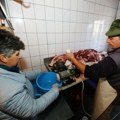 Svinjsko meso ćemo plaćati 1.000 dinara za kilogram