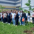 Drvo generacije: Ekološka akcija maturanata Medicinske škole u Kraljevu