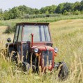 Suša oborila kvalitet žitarica i prinos voća u Srbiji, uticaće i na cene hrane