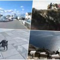 Prazne ulice i jauci životinja: Ovako izgleda Santorini nakon zemljotresa (video)