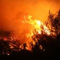 Prošle godine nestalo više od 6,7 miliona hektara prašuma na planeti, dvostruko više nego ranije