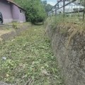 Nakon pisanja Glasa Zaječara, jaruga kod MUP - a u Zaječaru očišćena